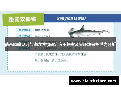 静音脚蹼设计与海洋生物研究应用探索及其环境保护潜力分析