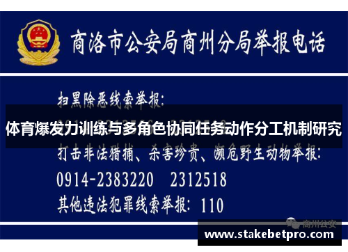 体育爆发力训练与多角色协同任务动作分工机制研究