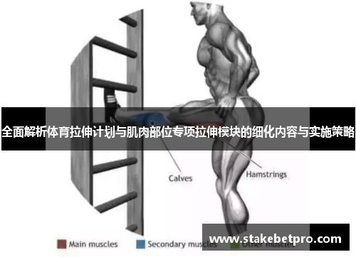 全面解析体育拉伸计划与肌肉部位专项拉伸模块的细化内容与实施策略